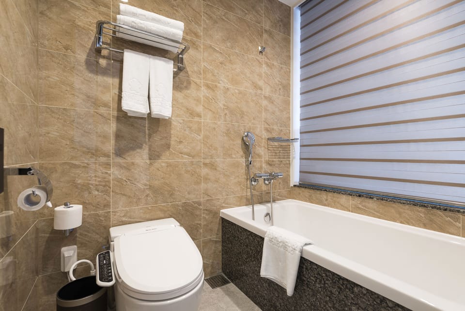 Hair dryer, bathrobes, bidet, towels