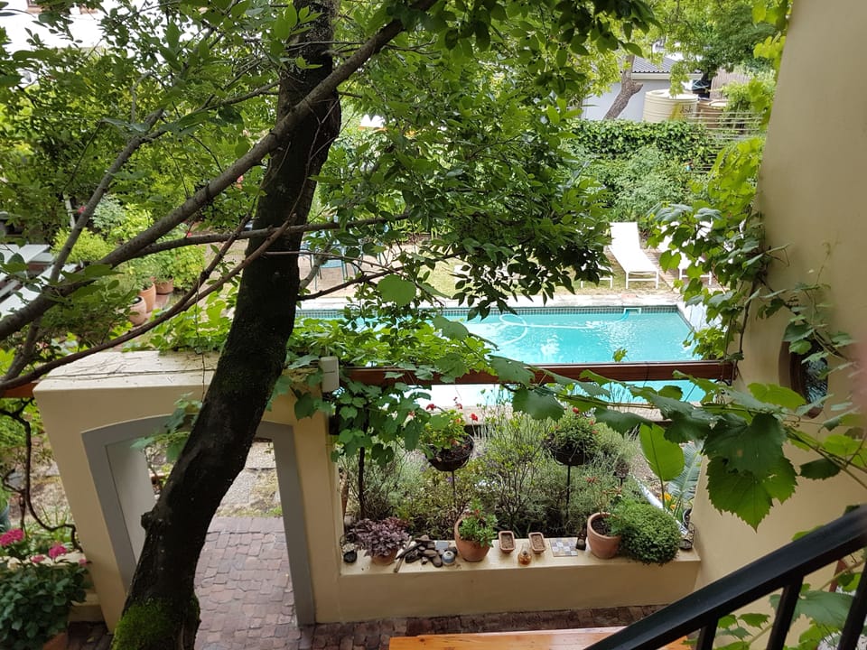 Queen Room First Floor  | View from room