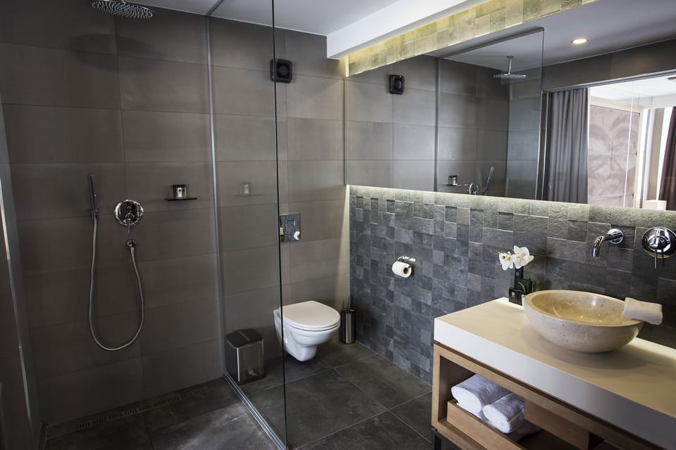 Shower, free toiletries, hair dryer, towels