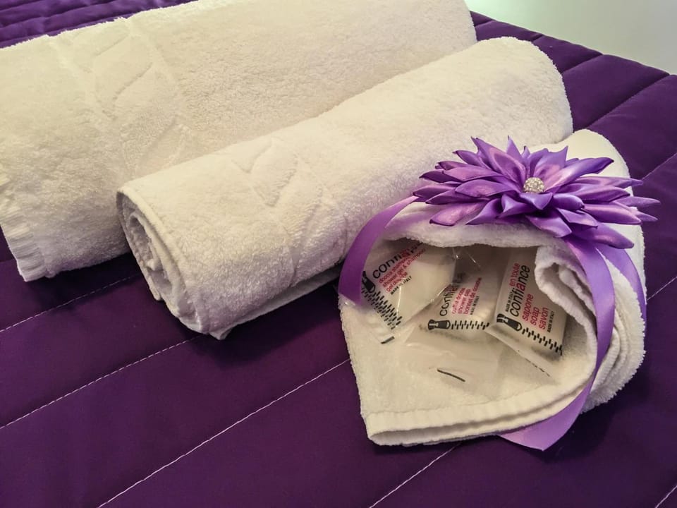Free toiletries, hair dryer, bidet, towels