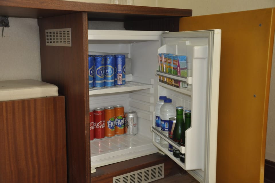 Mini-refrigerator
