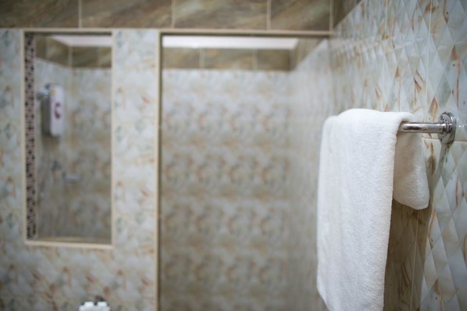 Standard Double Room | Bathroom amenities | Shower, free toiletries, hair dryer, bidet