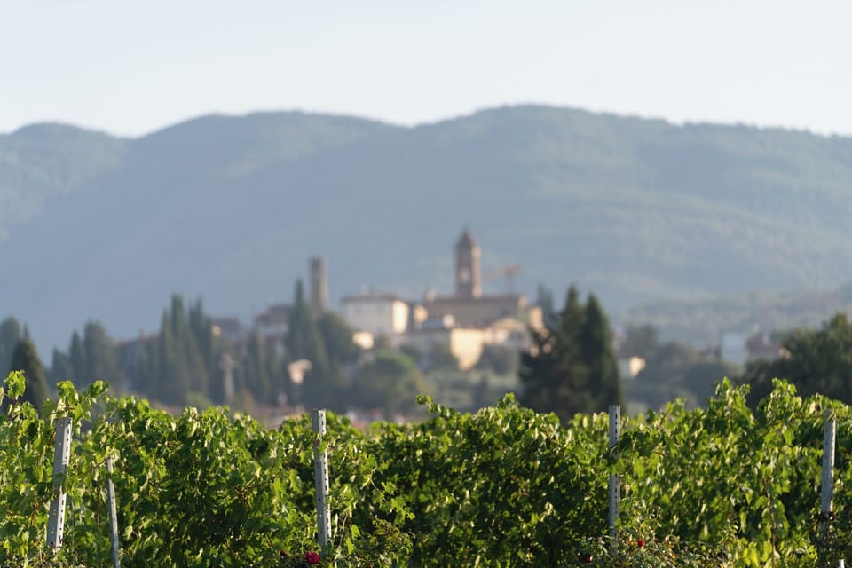 Land view from property