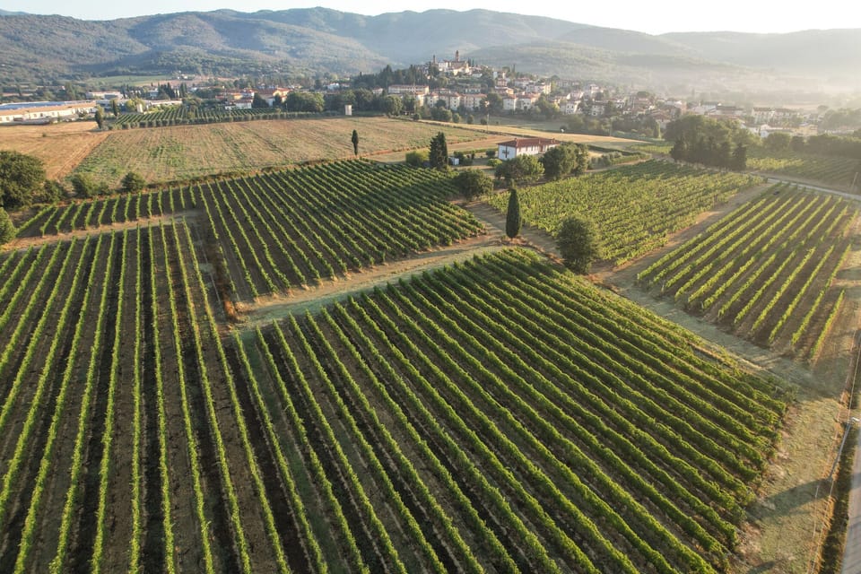 Land view from property