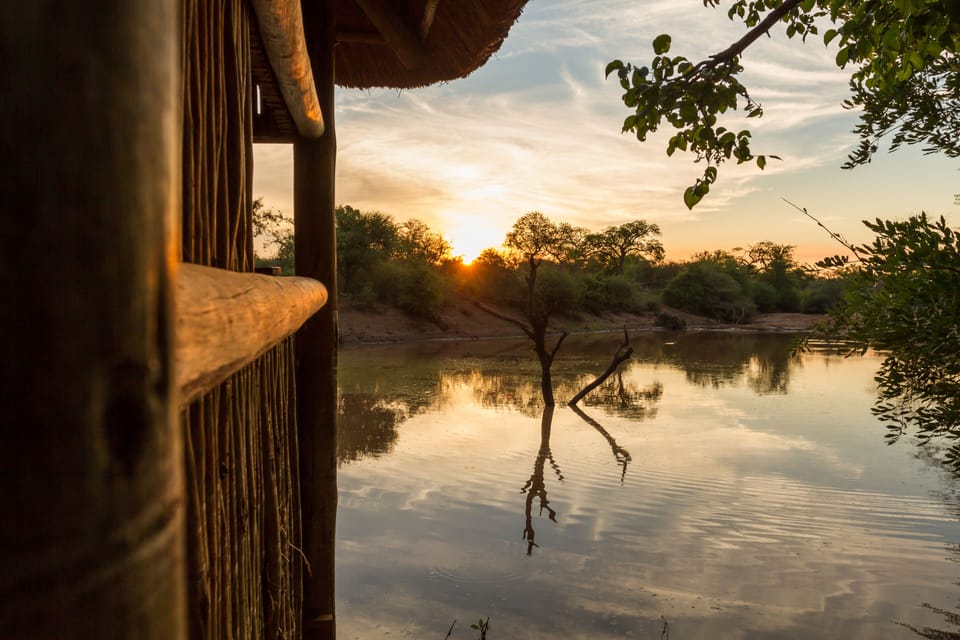 Game viewing