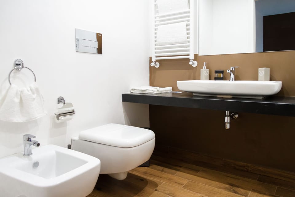 Deluxe Double Room | Bathroom | Shower, free toiletries, hair dryer, bathrobes