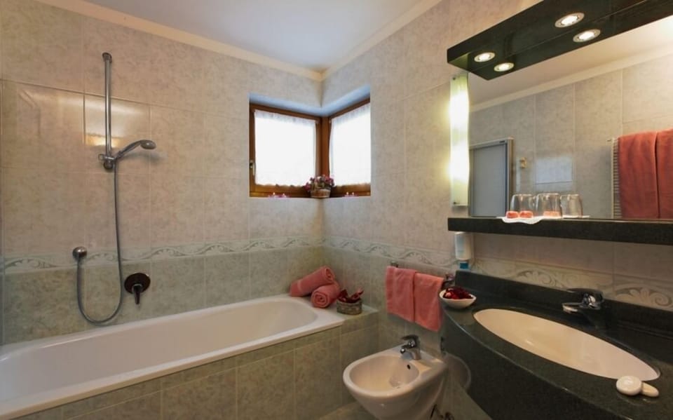 Hair dryer, bidet, towels, soap