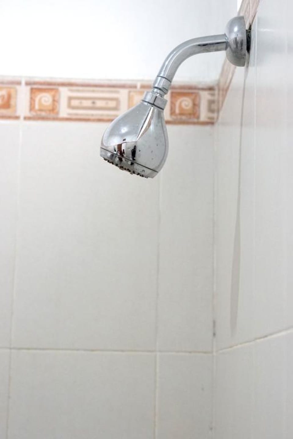 Shower, free toiletries, towels