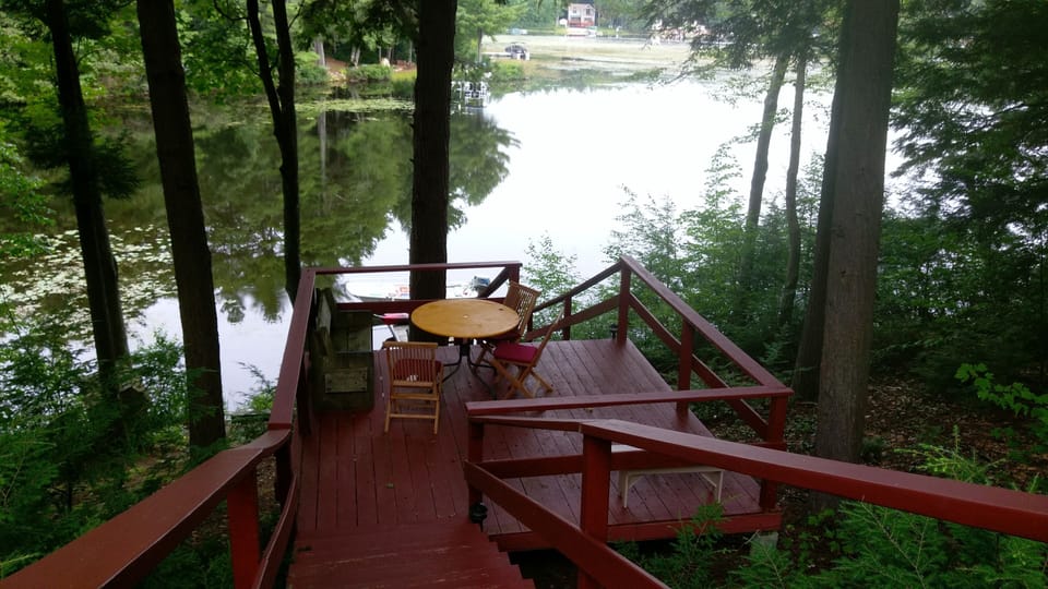 cocktails by the lake