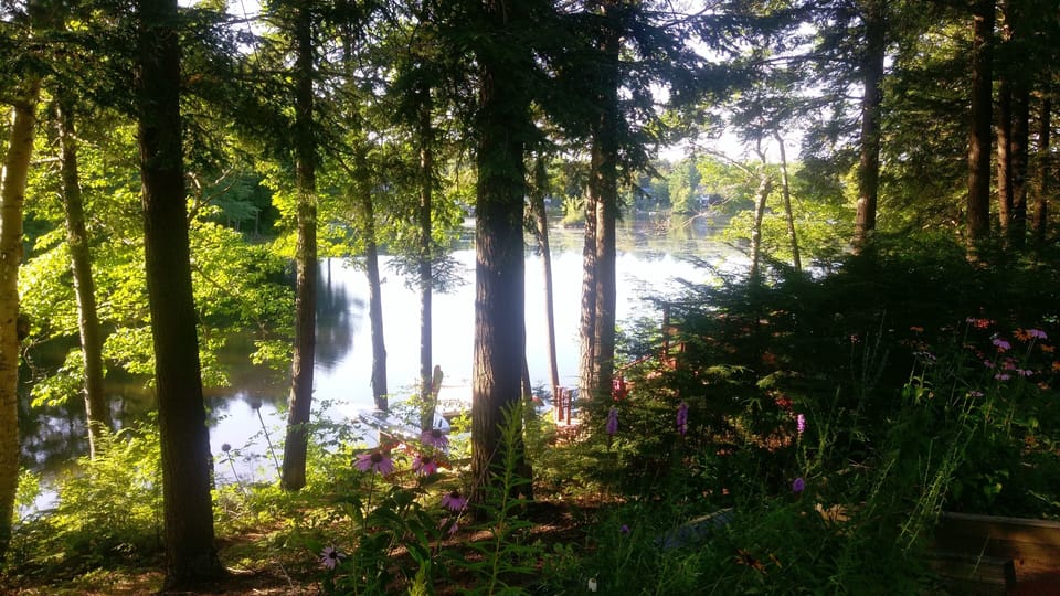 View from the deck