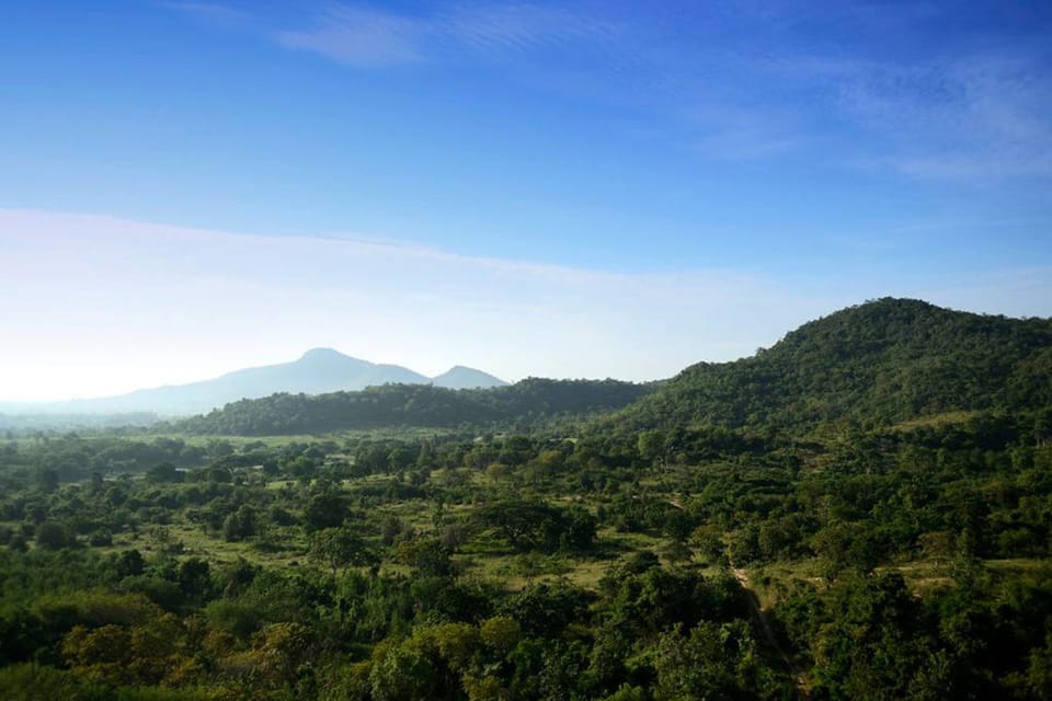 3 Bedroom Condo | View from room