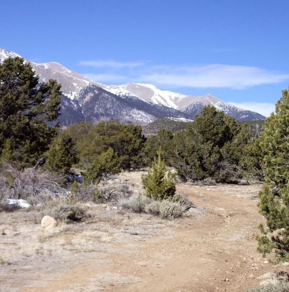 Inviting trails located behind Mountain Manor for peaceful hiking close to home!