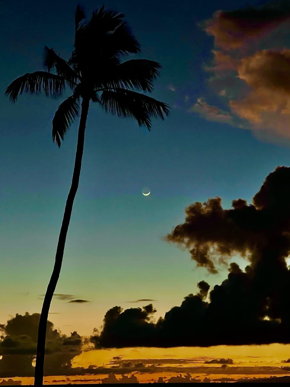 Nightly Sunsets never disappoint