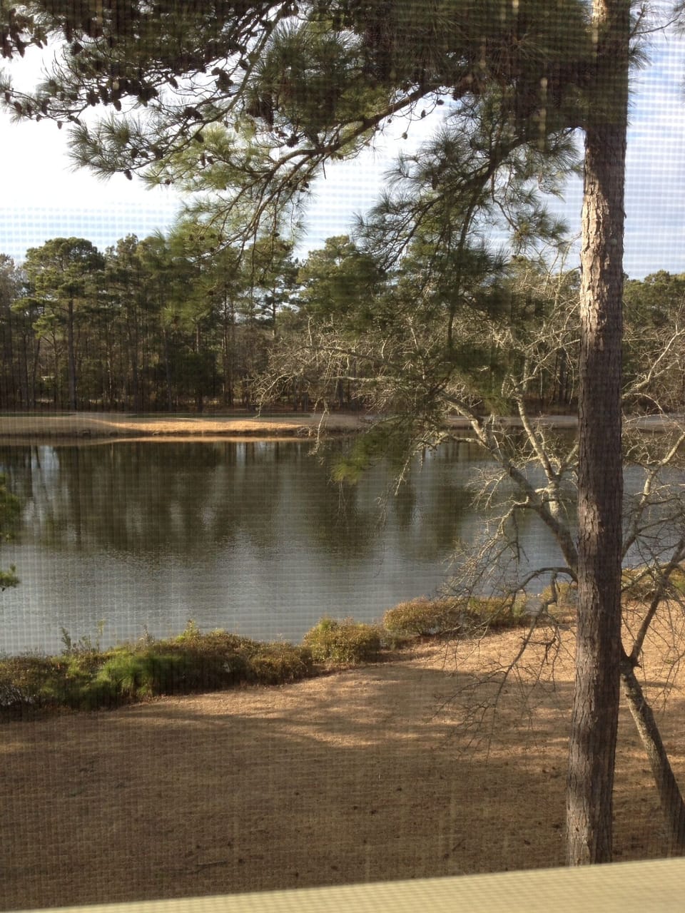 View from Deck