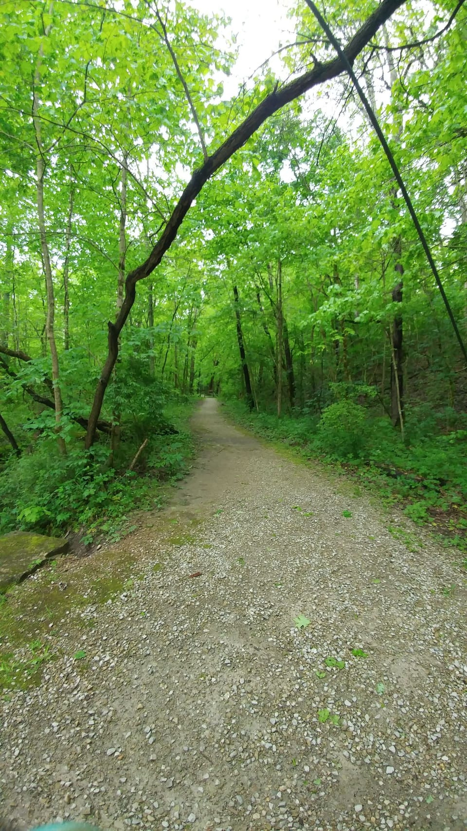 Cross Mound Park mile hiking loop