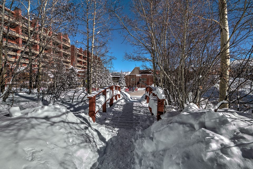 A winter wonderland 