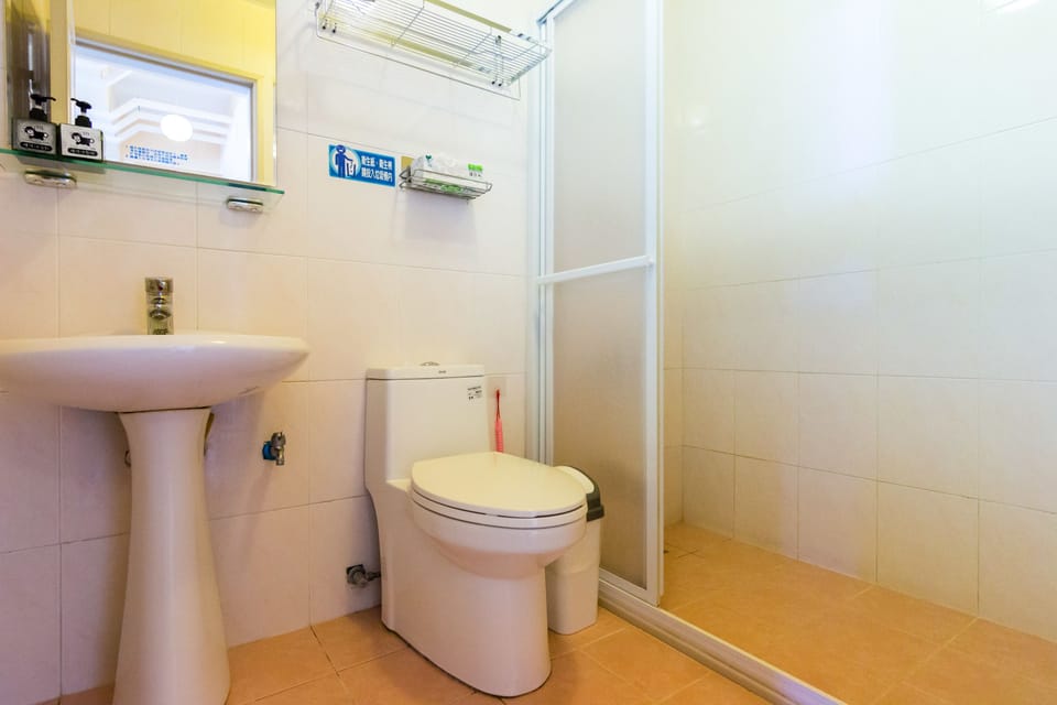 Shower, hair dryer, slippers, towels