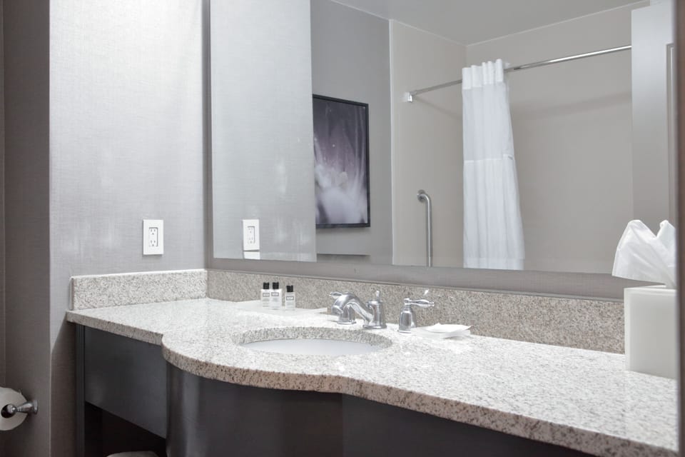 Combined shower/tub, free toiletries, hair dryer, towels
