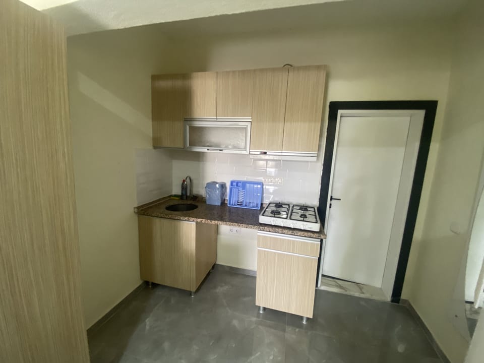 Apartment, 1 Bedroom | Private kitchen | Mini-fridge