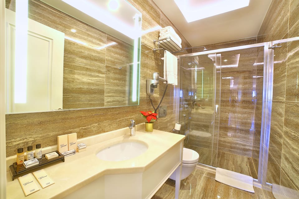 Shower, hydromassage showerhead, designer toiletries, hair dryer