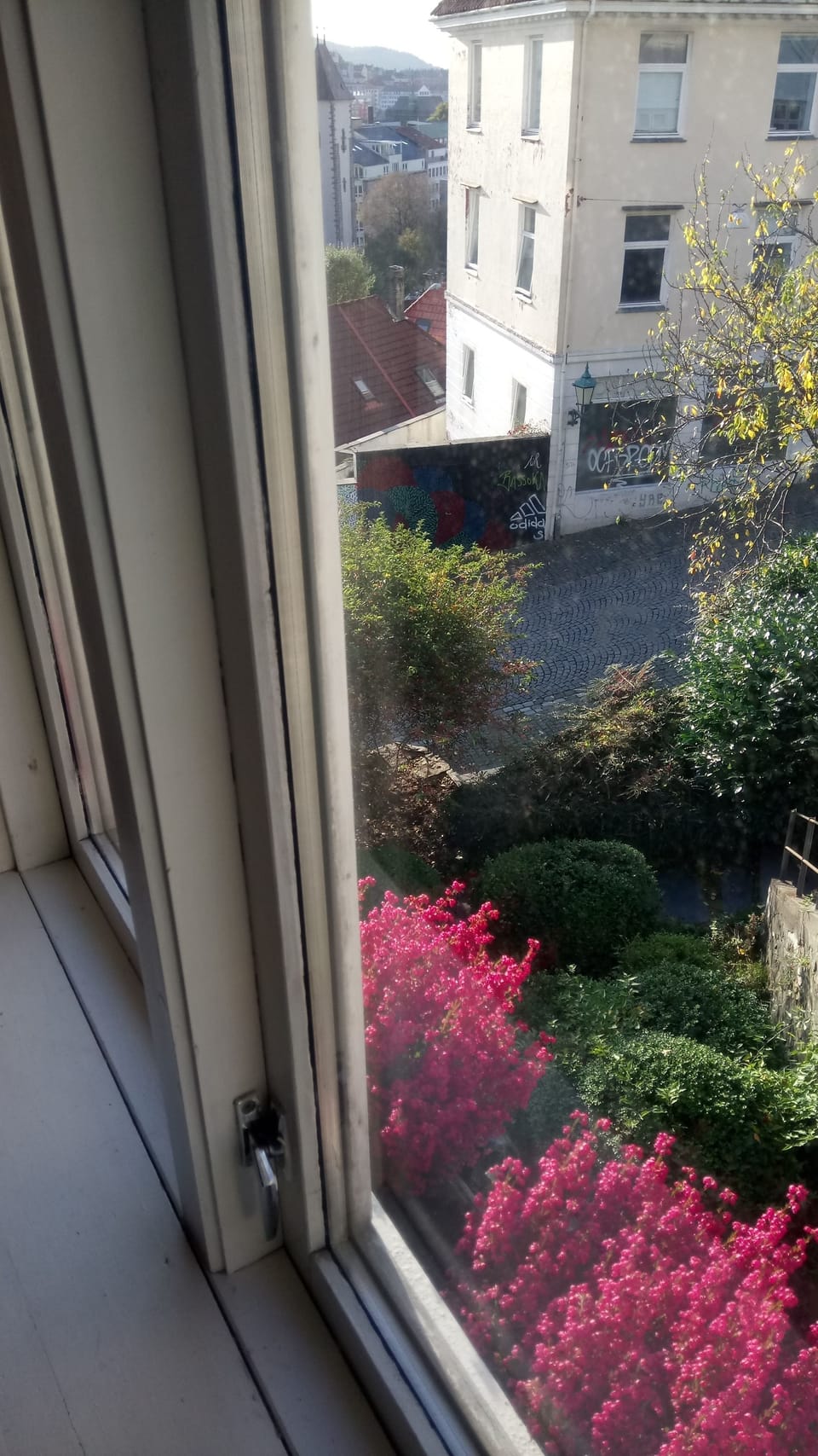 View from room