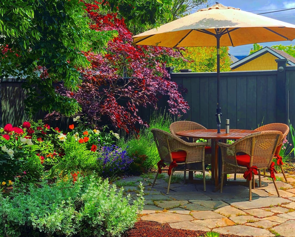 Yard for guests to enjoy 