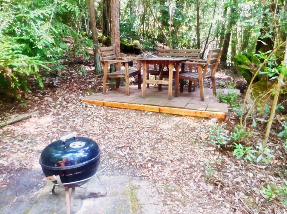 BBQ and Outside Eating Area