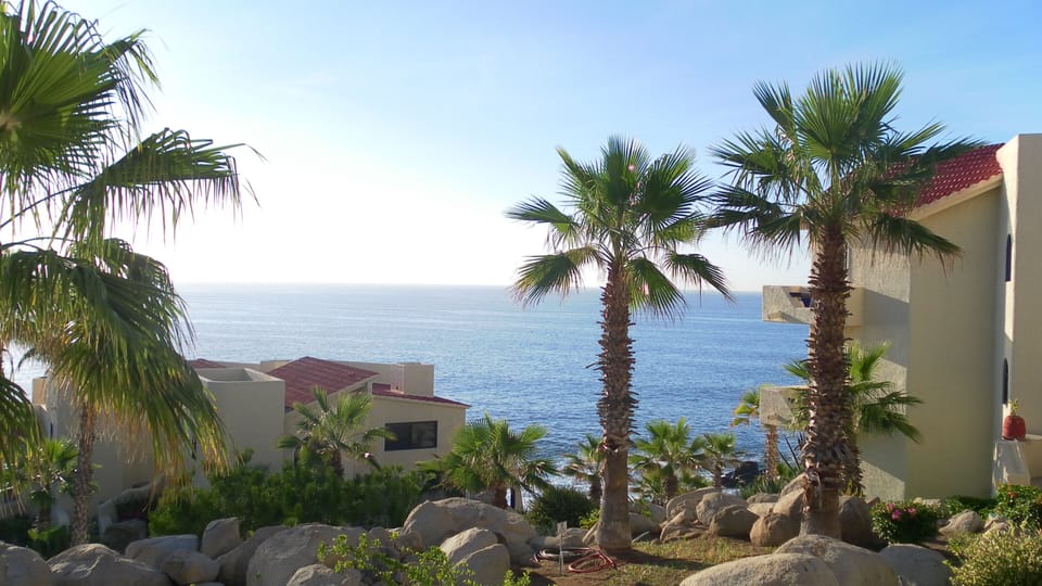Terrace view of the Sea of Cortez. 