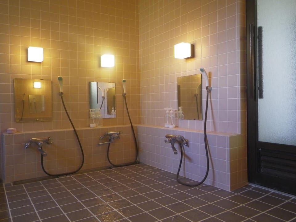 Separate tub and shower, hydromassage showerhead, free toiletries