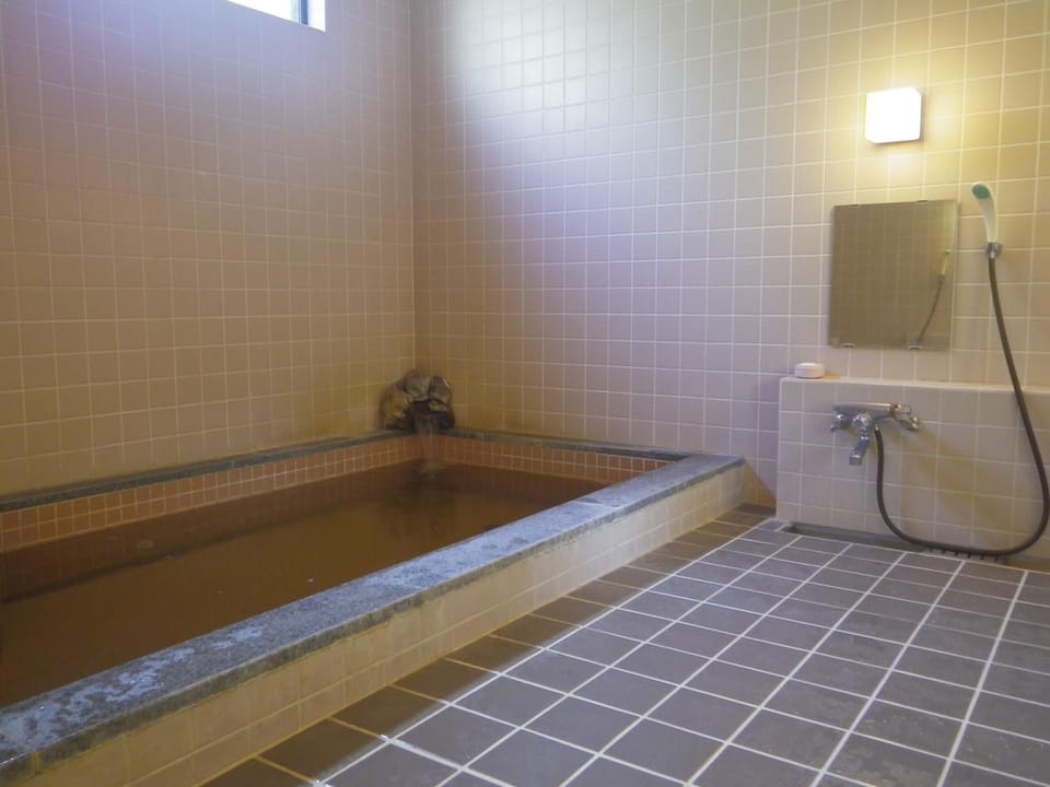 Separate tub and shower, hydromassage showerhead, free toiletries