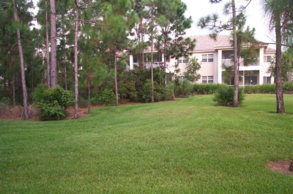 Backyard area