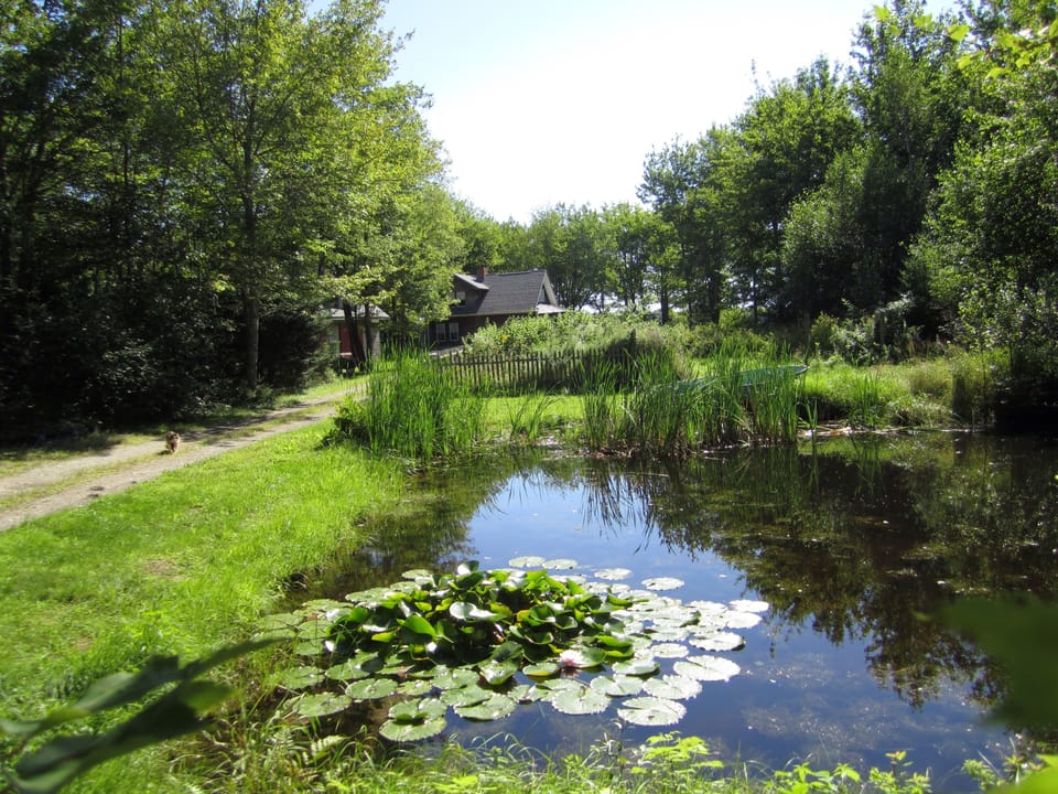 Summer on 20 acres of privacy
