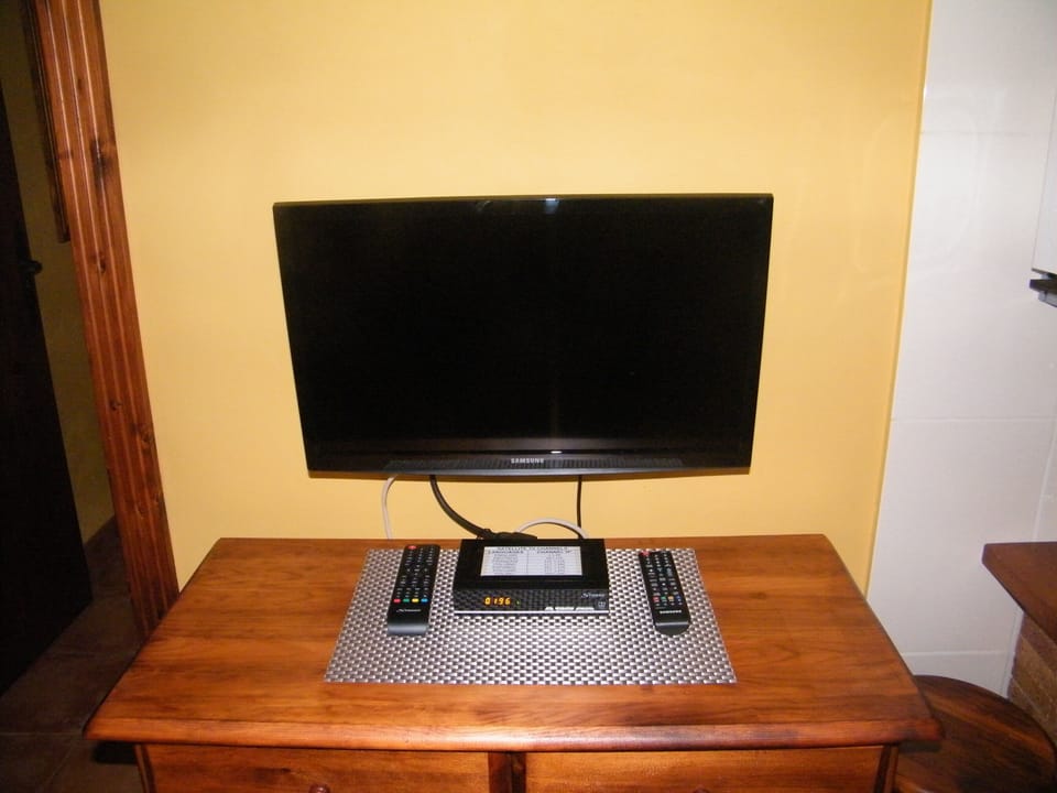 Television