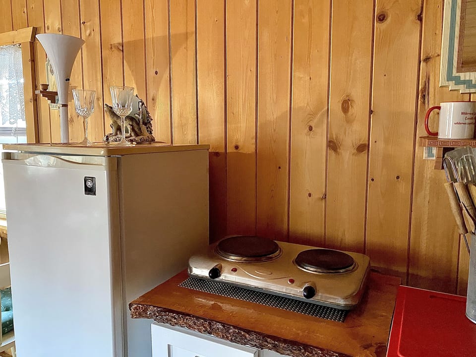 Refrigerator and two burner hot plate in kitchen area.