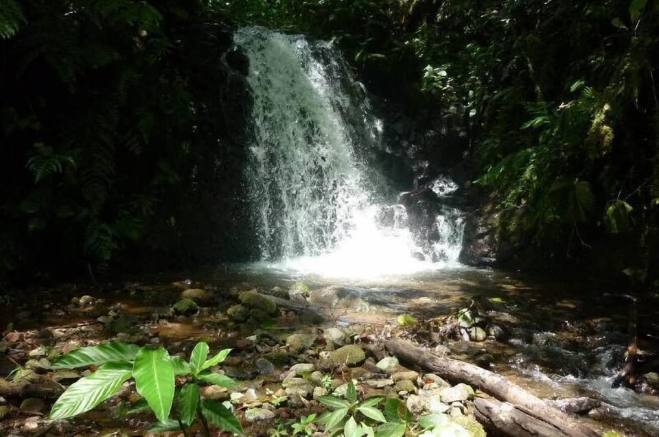 Nearby Waterfalls