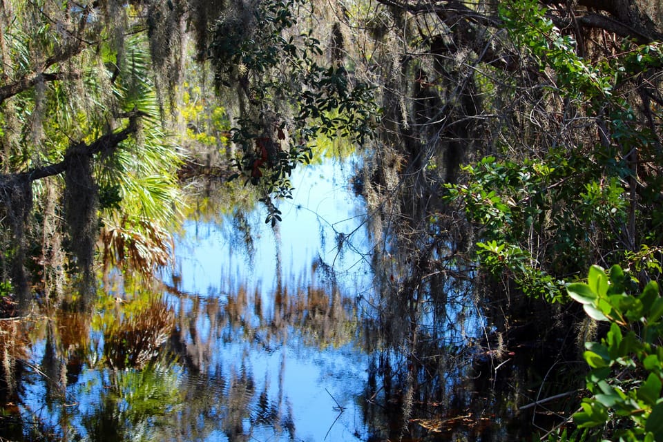 North Anclote River Nature Park
