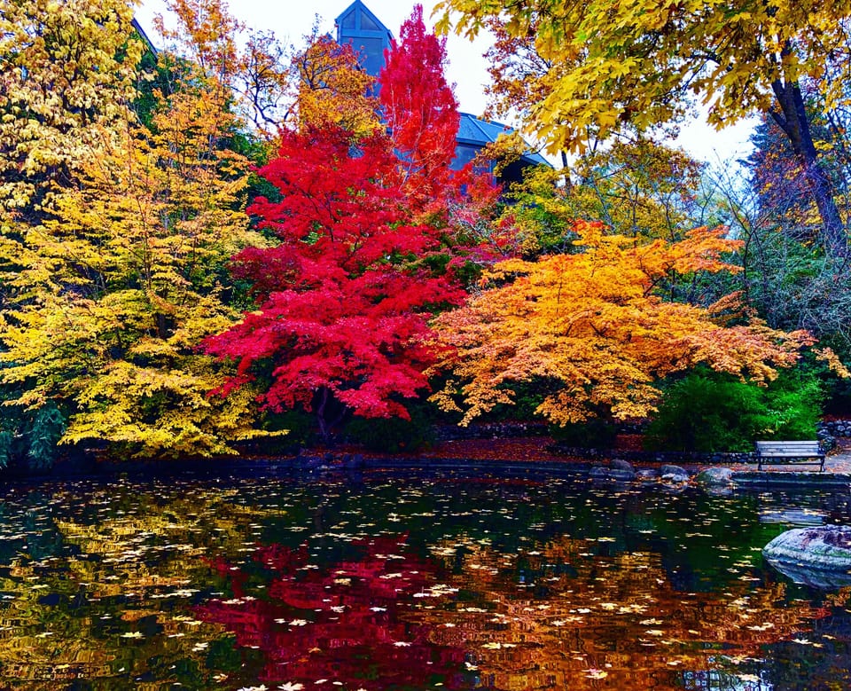 Lithia Park - 5 blocks away