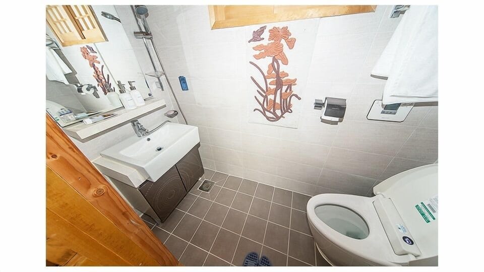 Shower, free toiletries, slippers, bidet