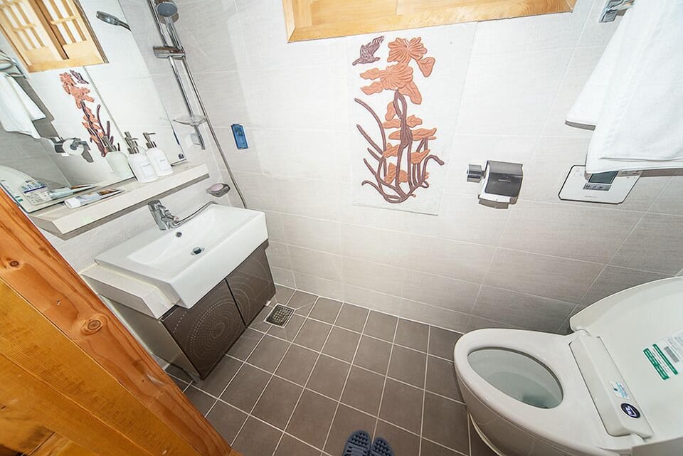 Shower, free toiletries, slippers, bidet