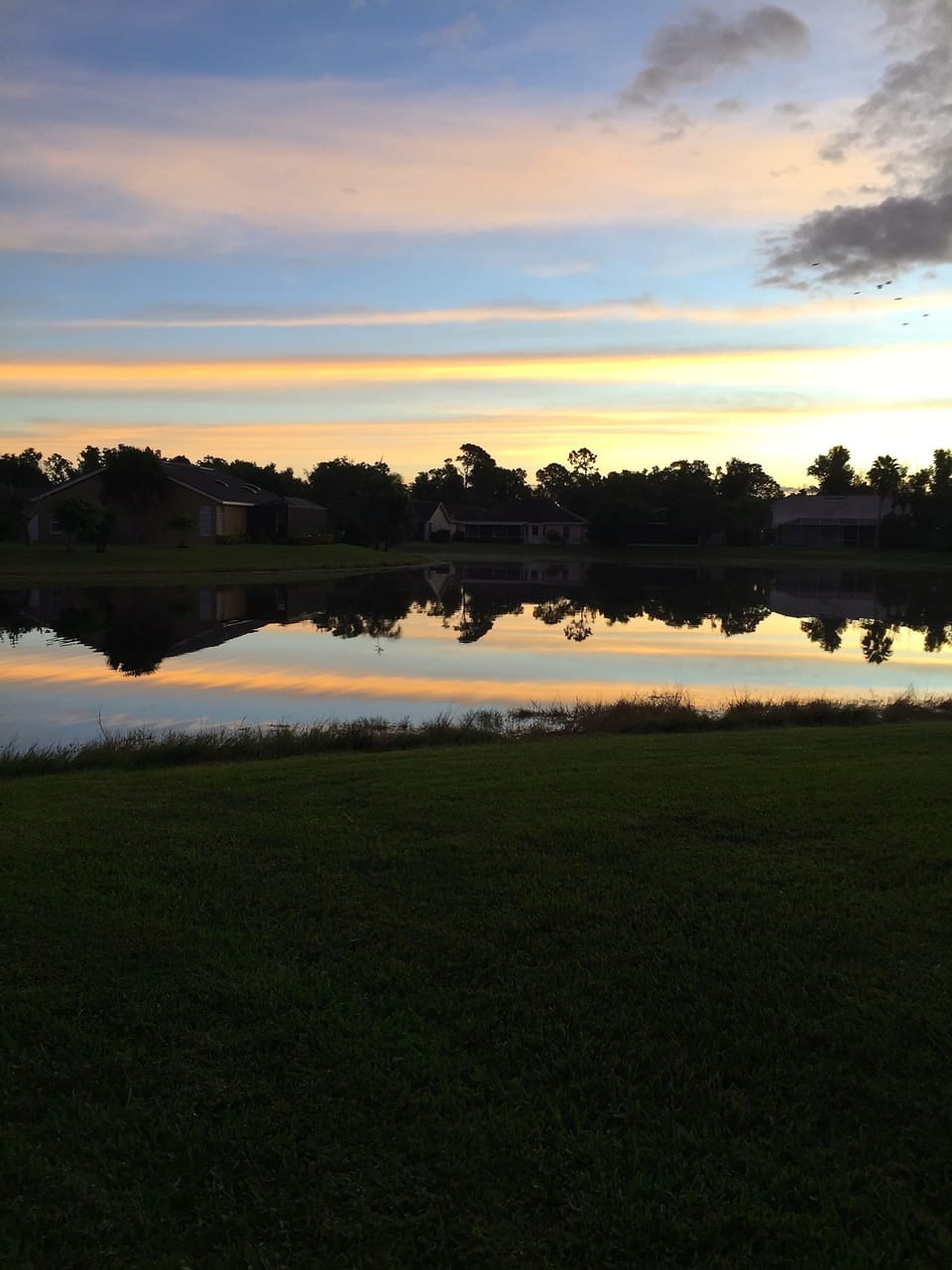Sunrise from the back of the house.