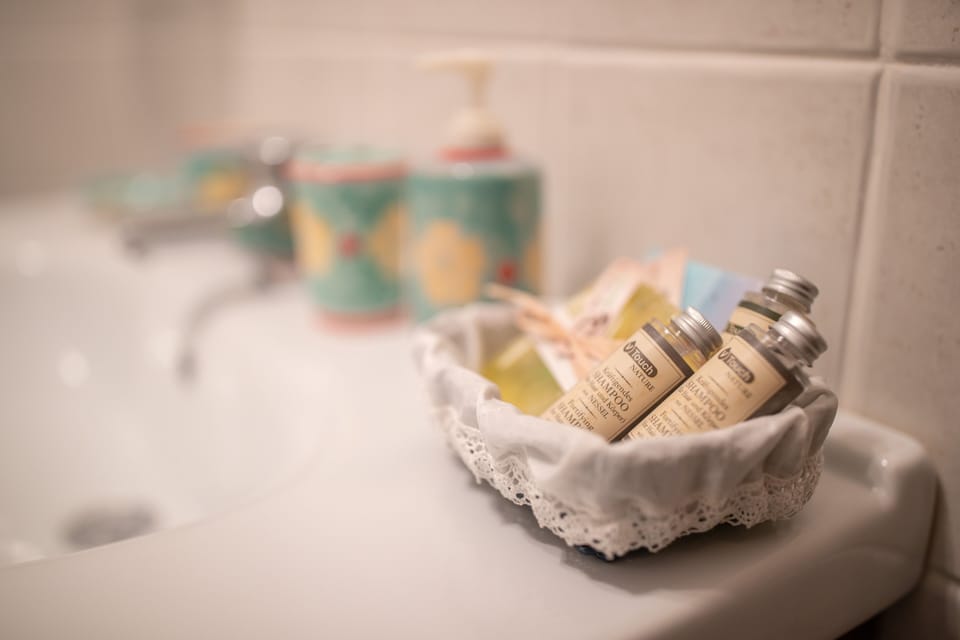 Apartment, 1 Double Bed with Sofa bed | Bathroom | Shower, free toiletries, hair dryer, slippers