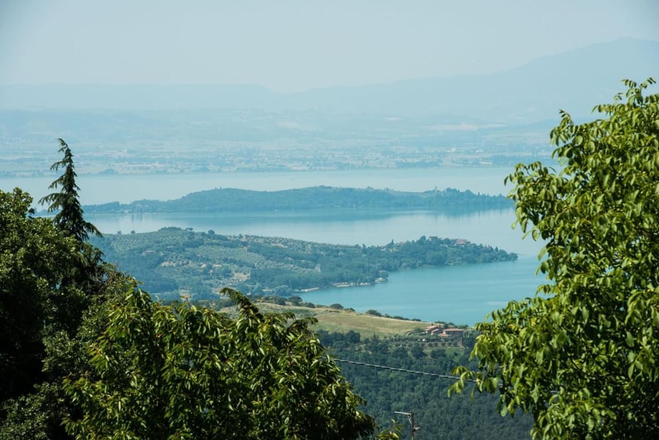 Lake view