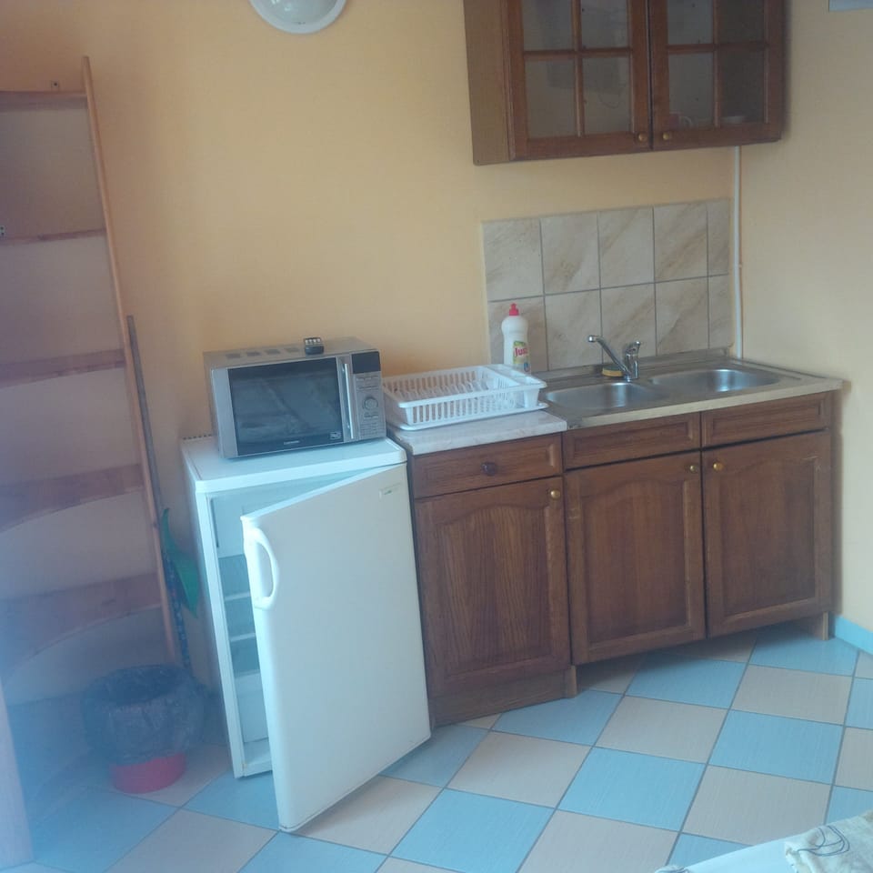 Panoramic Apartment, 1 Bedroom, Garden Area | Private kitchenette | Cookware/dishes/utensils