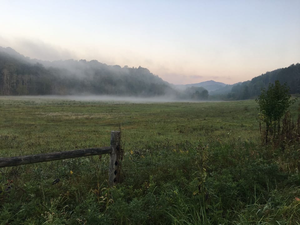 View from property