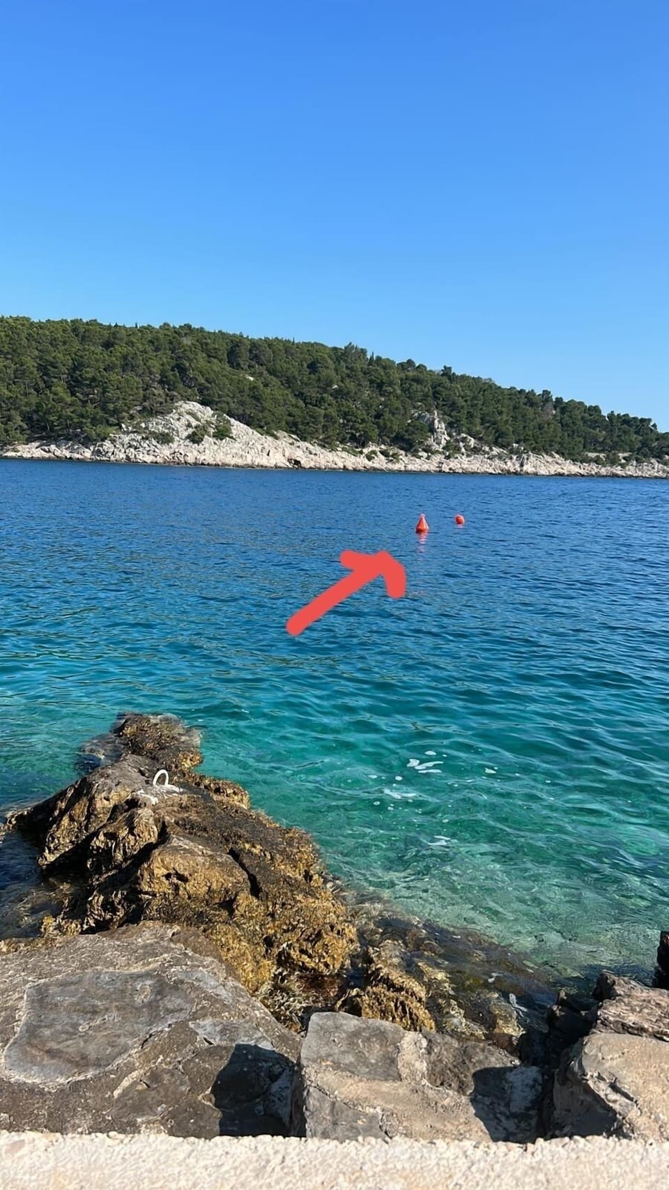 Boat mooring for a small boat