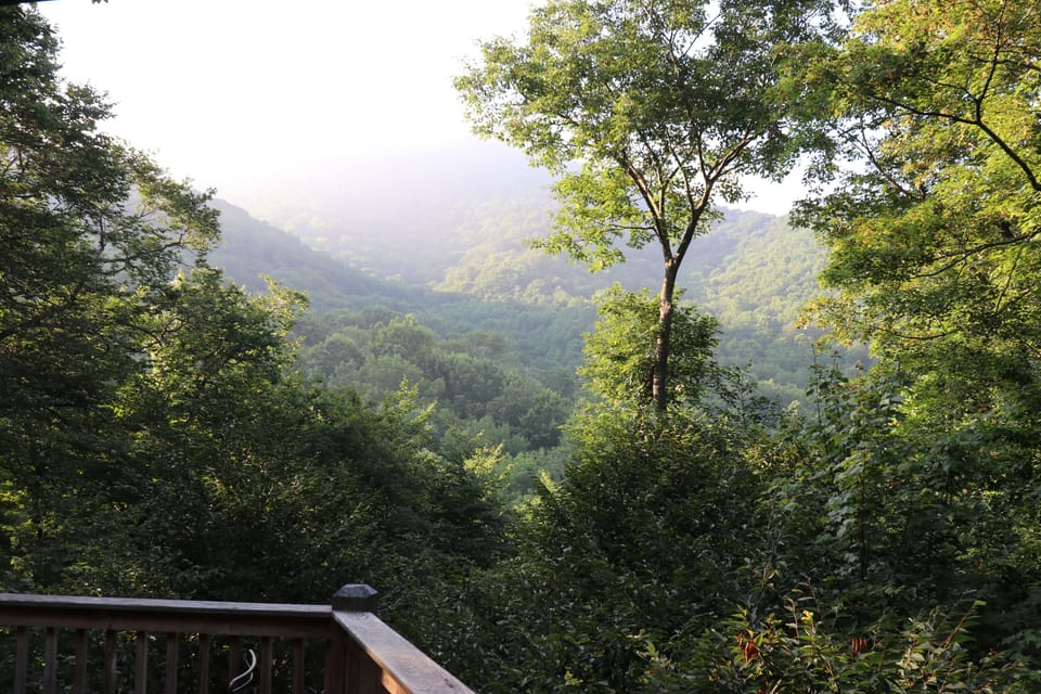 Enjoy your morning hot beverage here on the deck...Do you see any homes?
