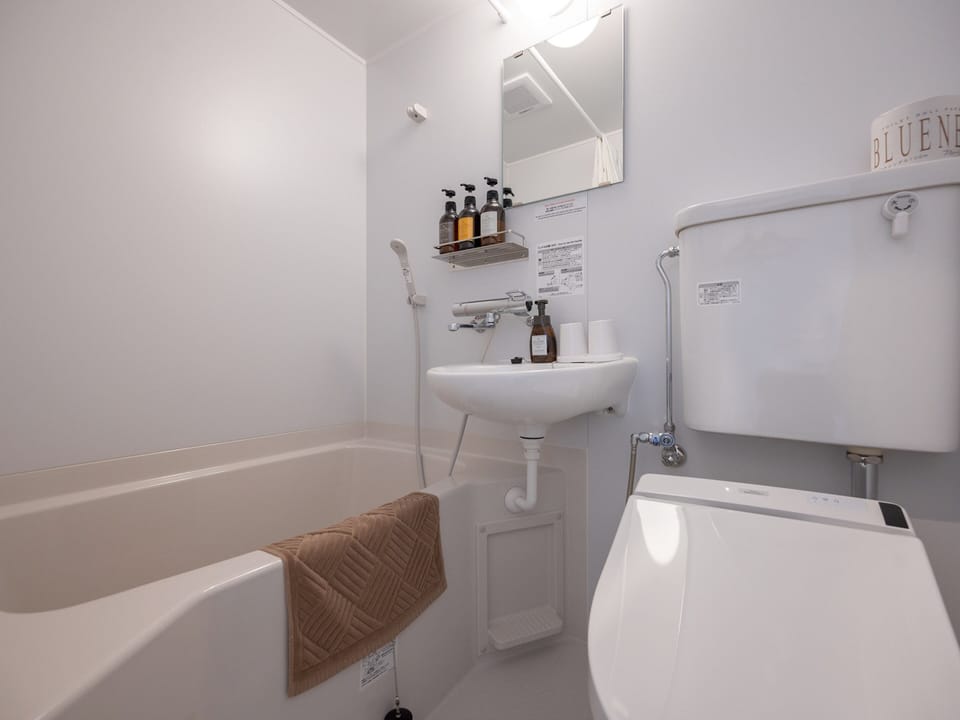 Combined shower/tub, free toiletries, hair dryer, slippers