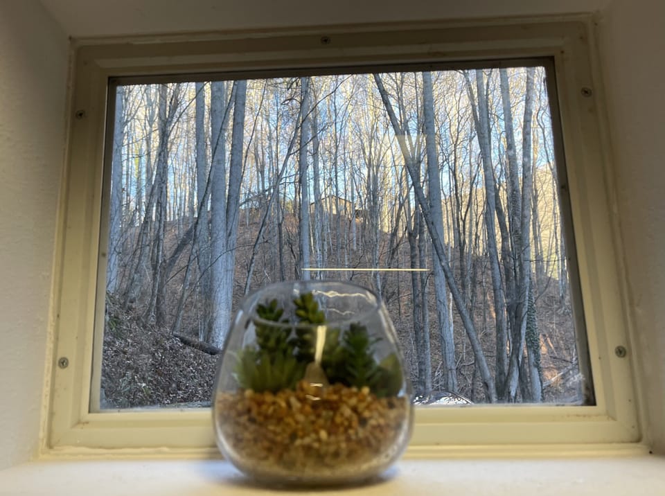 View from the bunk room transom windows 