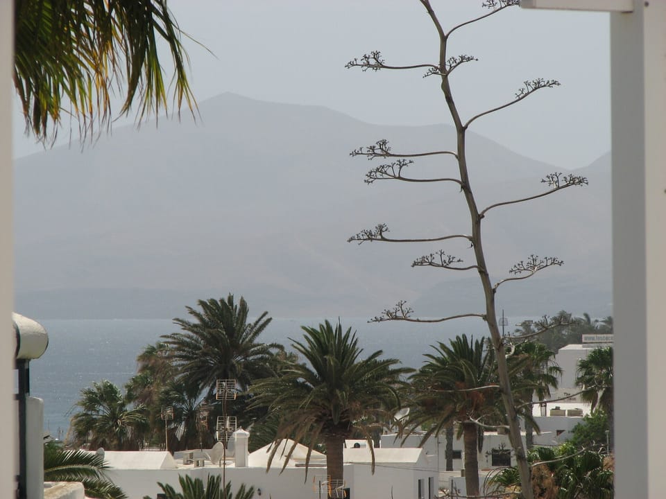 Wonderful sea and mountain view from the terrace