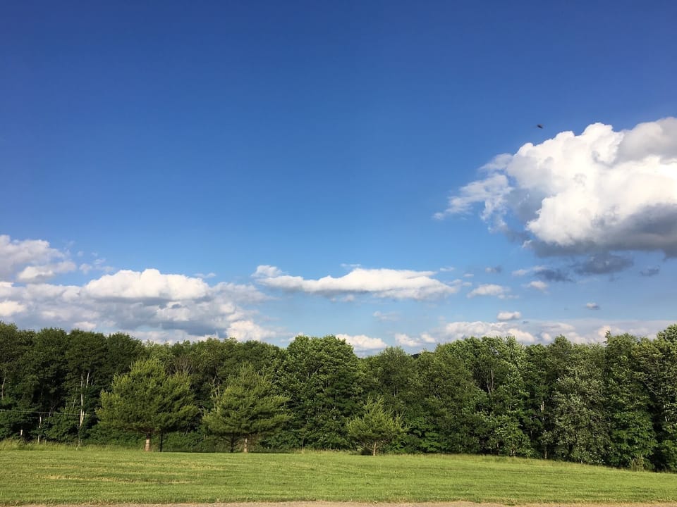 View from Cabin Porch